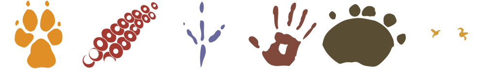 6-species logo